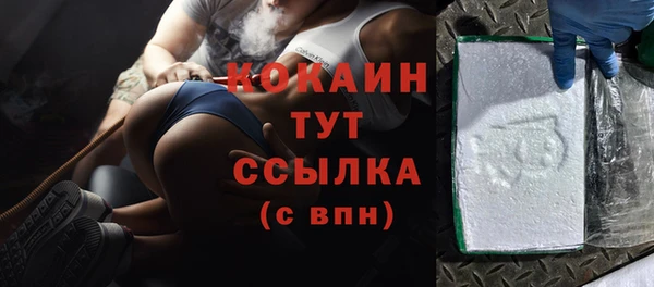 соль ск Белокуриха
