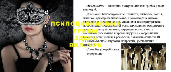 соль ск Белокуриха